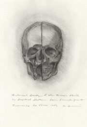 レオナルド・ダ・ヴィンチの頭蓋骨解剖手稿（正面）を國井正人が模写した絵画