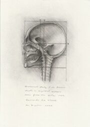 レオナルド・ダ。ヴィンチの頭蓋骨解剖手稿（断面図）を國井正人が模写した絵画