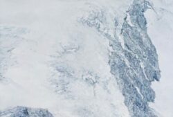 テレーズ・オルトンの絵画